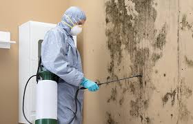 Best Biohazard Mold Removal  in Mcconnellsburg, PA